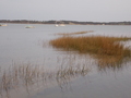 Image file: photo05.jpg