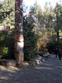 Image file: _1/photo07.jpg