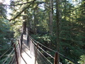 Image file: _1/photo20.jpg