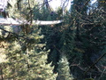 Image file: _2/photo23.jpg