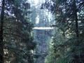 Image file: _2/photo28.jpg