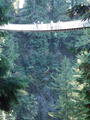 Image file: _2/photo31.jpg