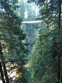 Image file: _2/photo32.jpg