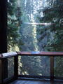 Image file: _2/photo35.jpg