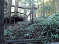 Image file: _2/photo38.jpg