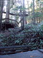 Image file: _2/photo39.jpg