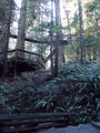 Image file: _2/photo40.jpg