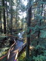 Image file: _3/photo41.jpg