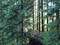 Image file: _3/photo42.jpg
