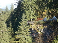 Image file: _3/photo43.jpg
