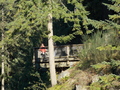 Image file: _3/photo45.jpg