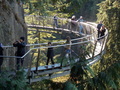 Image file: _3/photo48.jpg