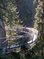 Image file: _3/photo50.jpg
