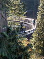 Image file: _3/photo51.jpg