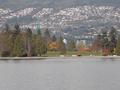 Image file: _1/photo14.jpg