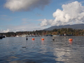 Image file: _1/photo16.jpg