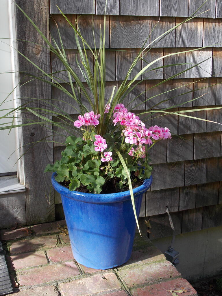 No description provided for: /2013/07-09/0915-flowers-house-yard/_1/photo22.html