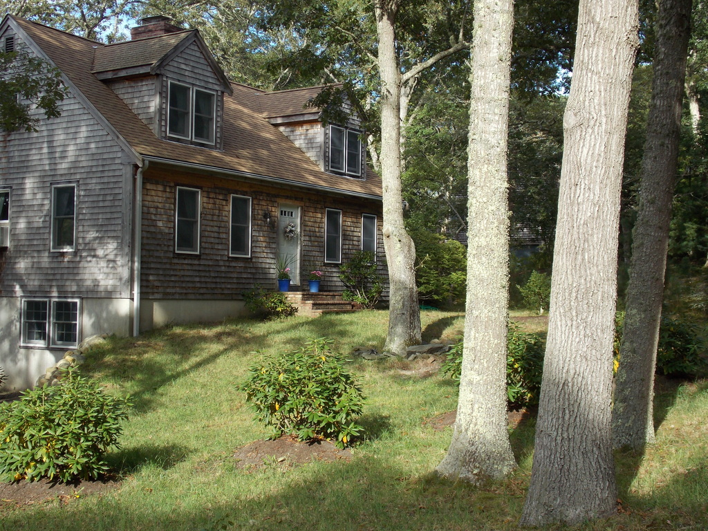 No description provided for: /2013/07-09/0915-flowers-house-yard/_2/photo24.html