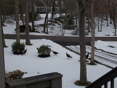 Image file: photo01.jpg