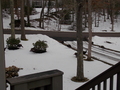 Image file: photo02.jpg