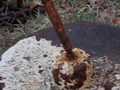 Image file: photo02.jpg