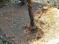 Image file: photo06.jpg