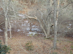 Image file: photo01.jpg