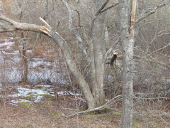 Image file: photo02.jpg