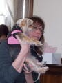 Image file: _1/photo12.jpg