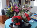 Image file: _1/photo17.jpg