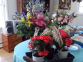 Image file: _1/photo18.jpg