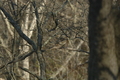 Image file: photo01.jpg