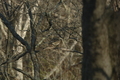 Image file: photo02.jpg