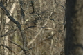 Image file: photo03.jpg