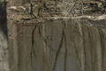 Image file: photo03.jpg