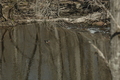 Image file: photo04.jpg
