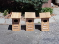Image file: photo01.jpg