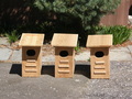Image file: _1/photo01.jpg