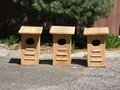 Image file: _1/photo02.jpg
