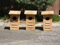 Image file: _1/photo03.jpg