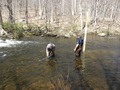 Image file: _1/photo19.jpg