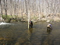 Image file: _1/photo21.jpg
