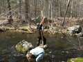 Image file: _2/photo42.jpg