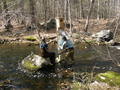 Image file: _3/photo45.jpg