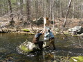 Image file: _3/photo46.jpg