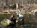 Image file: _3/photo47.jpg