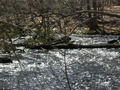 Image file: _3/photo50.jpg