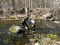 Image file: _3/photo55.jpg