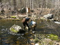 Image file: _3/photo56.jpg