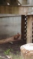 Image file: photo03.jpg